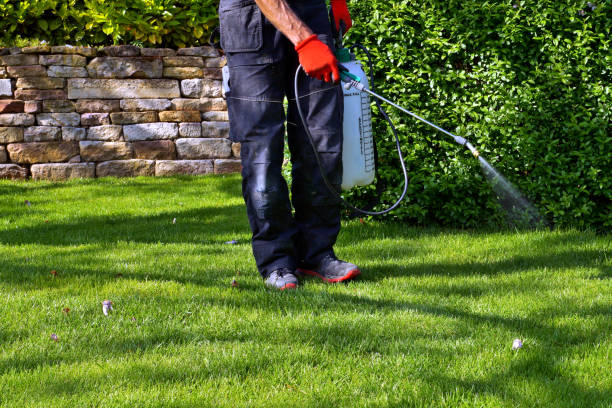 Real Estate Pest Inspections in Roxana, IL